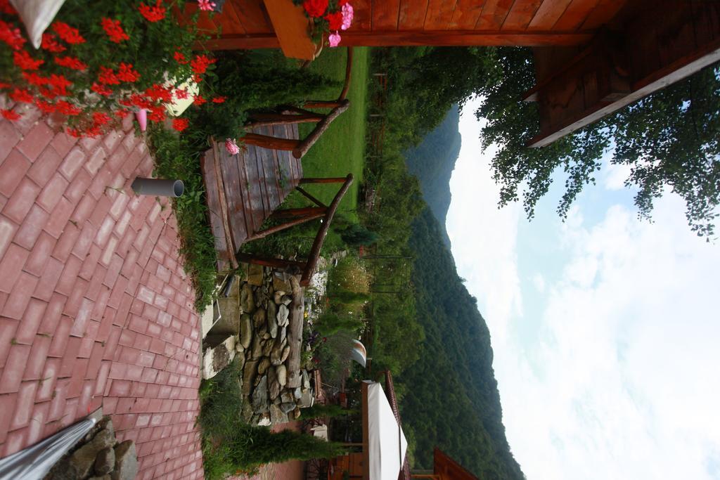 Gasthaus Maria Borlova Екстер'єр фото
