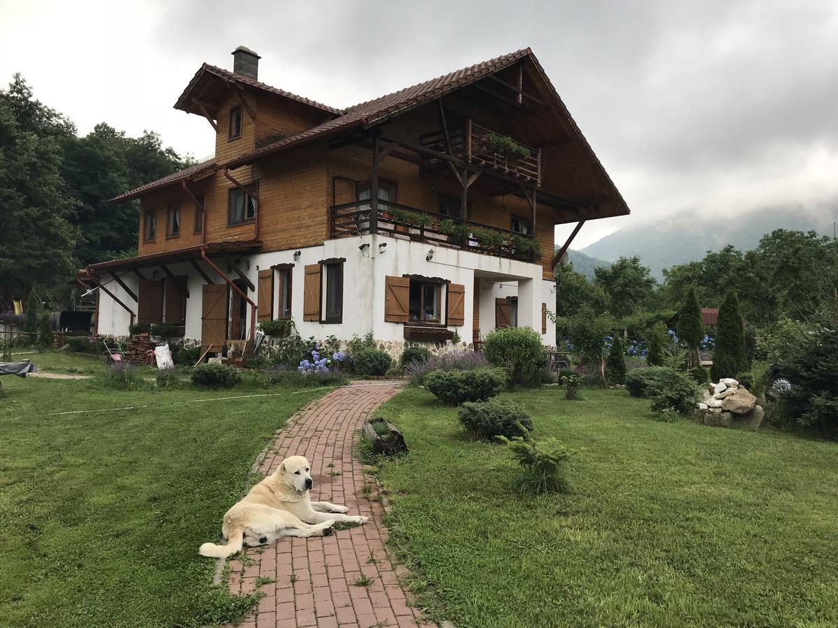 Gasthaus Maria Borlova Екстер'єр фото